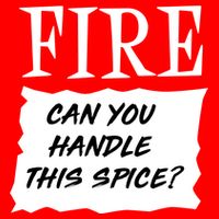 Fire Can You Handle This Spice Flatbill Hat