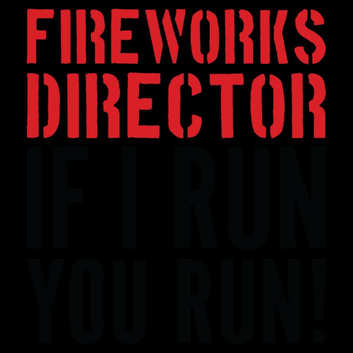 Fireworks Director If I Run You Run Mug