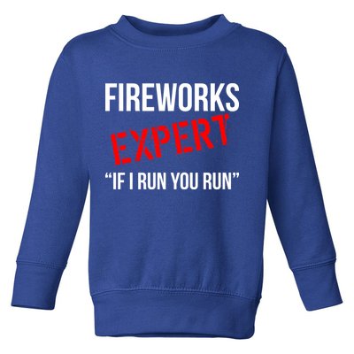 Fireworks Expert If I Run You Run Funny 4th of July Toddler Sweatshirt