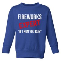 Fireworks Expert If I Run You Run Funny 4th of July Toddler Sweatshirt