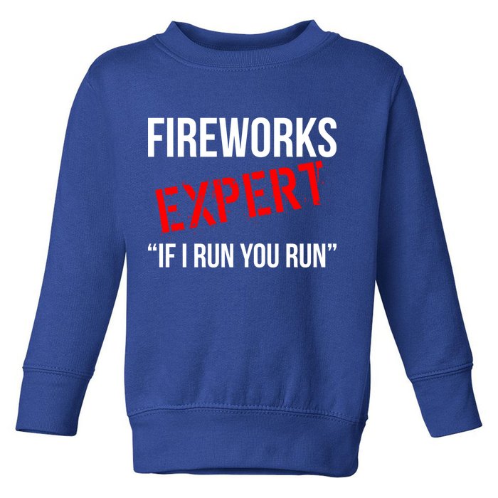Fireworks Expert If I Run You Run Funny 4th of July Toddler Sweatshirt