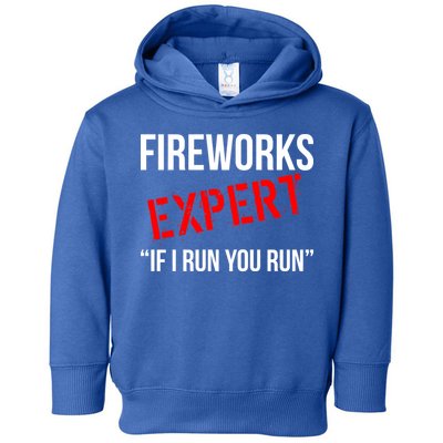 Fireworks Expert If I Run You Run Funny 4th of July Toddler Hoodie