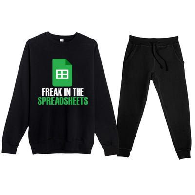 Freak In Spreadsheets Excel Accountant Accounting Premium Crewneck Sweatsuit Set