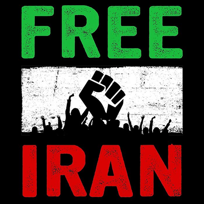 Free Iran Stand With The Women Of Iran Cropped Pullover Crew
