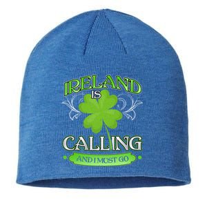 Funny Ireland Sankt Patricks Day Gift Dublin Gift Sustainable Beanie