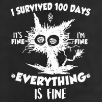 Funny I Survived 100 Days It's Fine I'm Fine Everything Is Fine Adult Drive Performance Visor