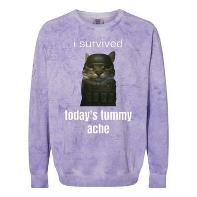 Funny I Survived TodayS Tummy Ache Colorblast Crewneck Sweatshirt