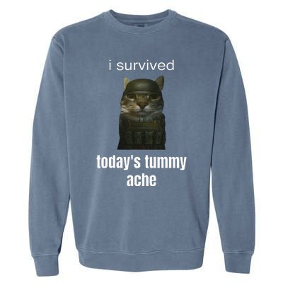 Funny I Survived TodayS Tummy Ache Garment-Dyed Sweatshirt