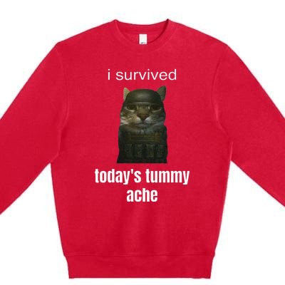 Funny I Survived TodayS Tummy Ache Premium Crewneck Sweatshirt