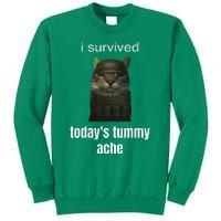 Funny I Survived TodayS Tummy Ache Sweatshirt