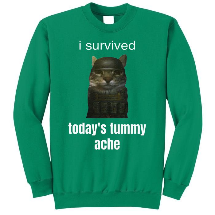 Funny I Survived TodayS Tummy Ache Sweatshirt