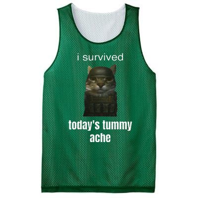 Funny I Survived TodayS Tummy Ache Mesh Reversible Basketball Jersey Tank