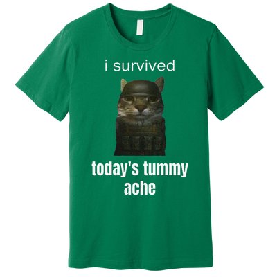 Funny I Survived TodayS Tummy Ache Premium T-Shirt