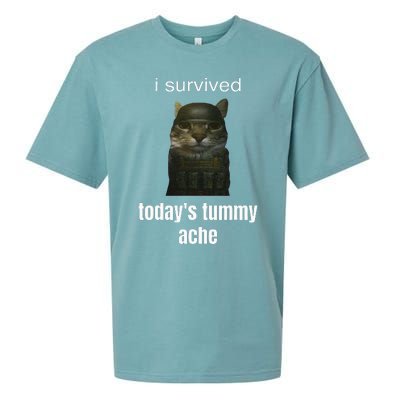 Funny I Survived TodayS Tummy Ache Sueded Cloud Jersey T-Shirt