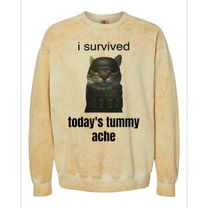 Funny I Survived TodayS Tummy Ache Colorblast Crewneck Sweatshirt