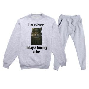 Funny I Survived TodayS Tummy Ache Premium Crewneck Sweatsuit Set