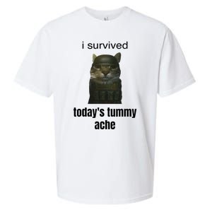 Funny I Survived TodayS Tummy Ache Sueded Cloud Jersey T-Shirt