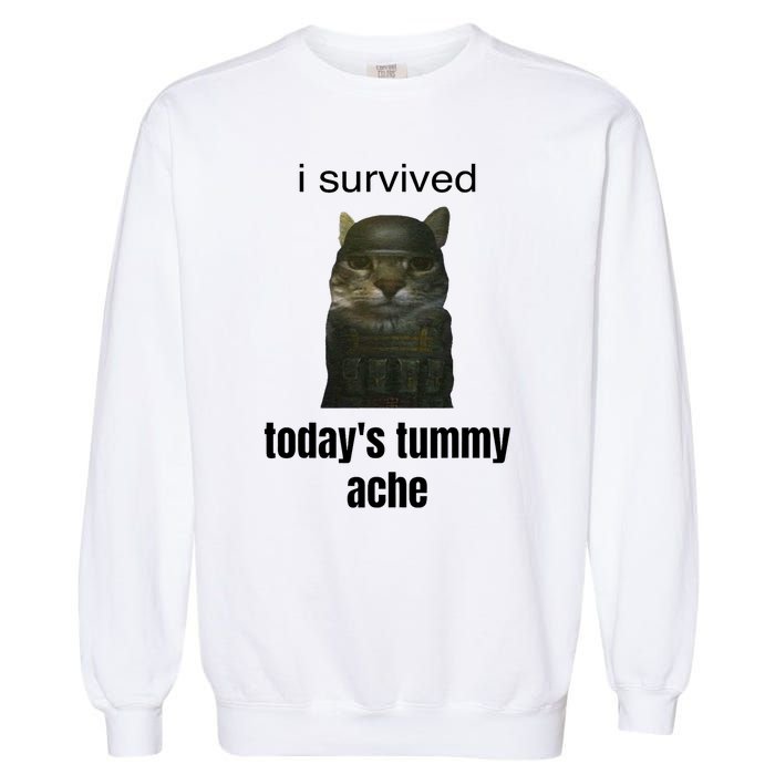 Funny I Survived TodayS Tummy Ache Garment-Dyed Sweatshirt