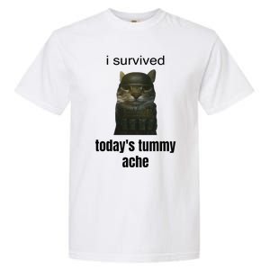 Funny I Survived TodayS Tummy Ache Garment-Dyed Heavyweight T-Shirt