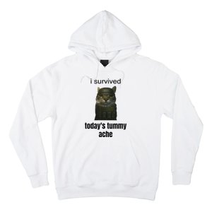 Funny I Survived TodayS Tummy Ache Hoodie