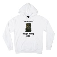 Funny I Survived TodayS Tummy Ache Hoodie