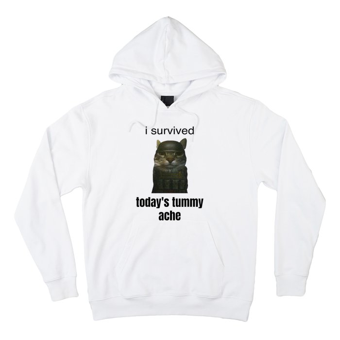 Funny I Survived TodayS Tummy Ache Hoodie