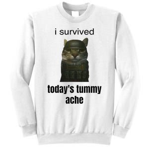 Funny I Survived TodayS Tummy Ache Sweatshirt