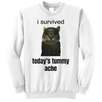 Funny I Survived TodayS Tummy Ache Sweatshirt