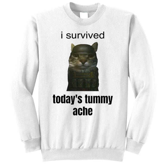 Funny I Survived TodayS Tummy Ache Sweatshirt