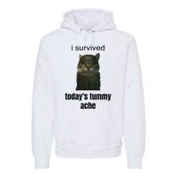 Funny I Survived TodayS Tummy Ache Premium Hoodie