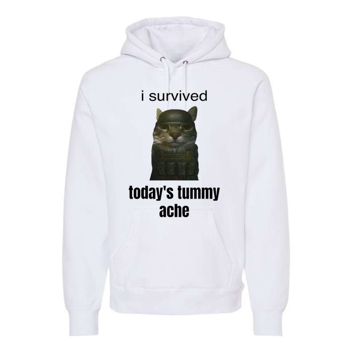 Funny I Survived TodayS Tummy Ache Premium Hoodie