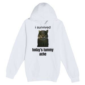 Funny I Survived TodayS Tummy Ache Premium Pullover Hoodie