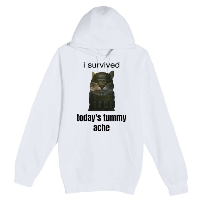 Funny I Survived TodayS Tummy Ache Premium Pullover Hoodie