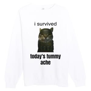 Funny I Survived TodayS Tummy Ache Premium Crewneck Sweatshirt