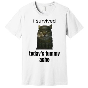 Funny I Survived TodayS Tummy Ache Premium T-Shirt