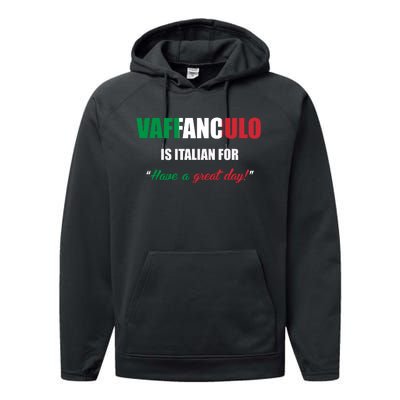 Funny Italian Saying Vaffanculo Have A Great Day Gift Performance Fleece Hoodie