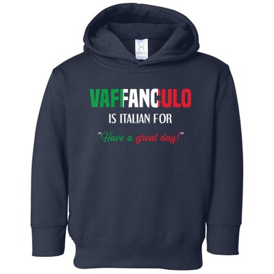 Funny Italian Saying Vaffanculo Have A Great Day Toddler Hoodie