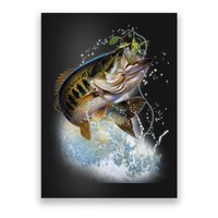 Fish and Hook Poster