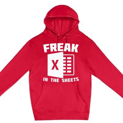 Freak In The Sheets Funny Accountant Analyst Secretary Premium Pullover Hoodie