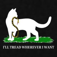 Funny Ill Tread Wherever I Want Cat Vs Tread On Me Snake Ladies PosiCharge Tri-Blend Wicking Tank
