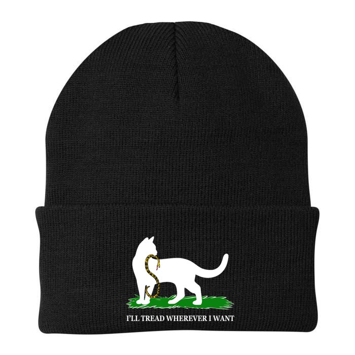 Funny Ill Tread Wherever I Want Cat Vs Tread On Me Snake Beanie