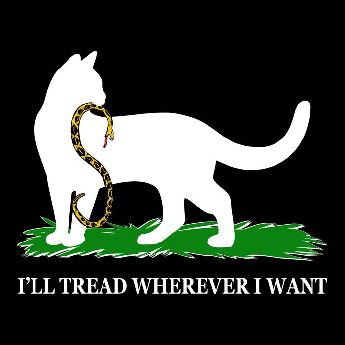 Funny Ill Tread Wherever I Want Cat Vs Tread On Me Snake Mousepad