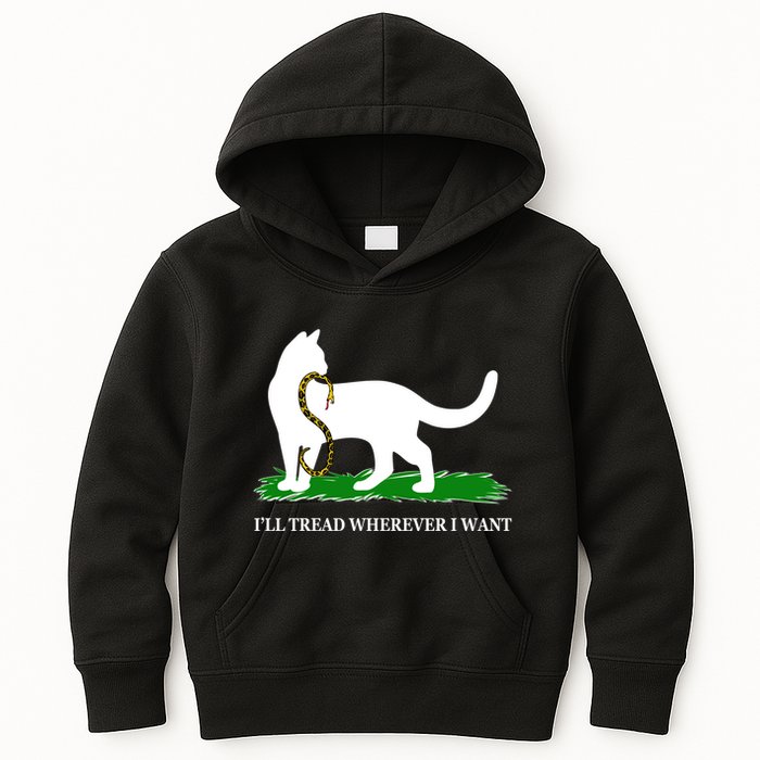Funny Ill Tread Wherever I Want Cat Vs Tread On Me Snake Kids Hoodie