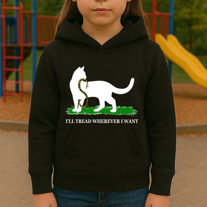 Funny Ill Tread Wherever I Want Cat Vs Tread On Me Snake Kids Hoodie