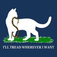 Funny Ill Tread Wherever I Want Cat Vs Tread On Me Snake Infant Baby Jersey Bodysuit