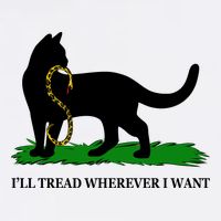 Funny Ill Tread Wherever I Want Cat Vs Tread On Me Snake Garment-Dyed Sweatshirt