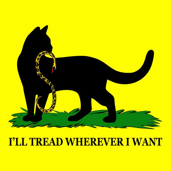 Funny Ill Tread Wherever I Want Cat Vs Tread On Me Snake Women's V-Neck T-Shirt