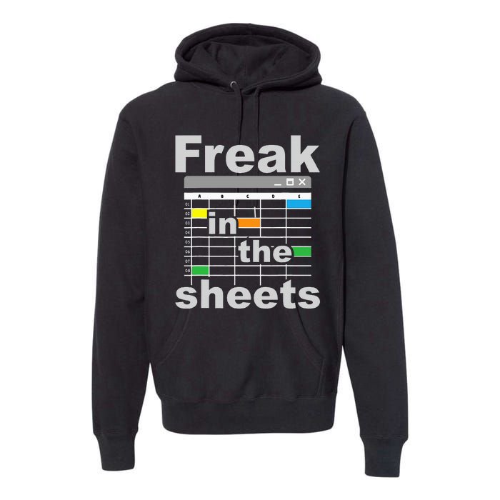 Freak In The Sheets Funny Accountant Analyst Secretary Premium Hoodie