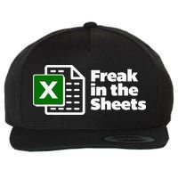 Freak In The Sheets Excel Spreadsheet File Data Wool Snapback Cap