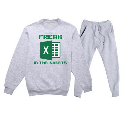 Freak In The Excel Sheets Premium Crewneck Sweatsuit Set